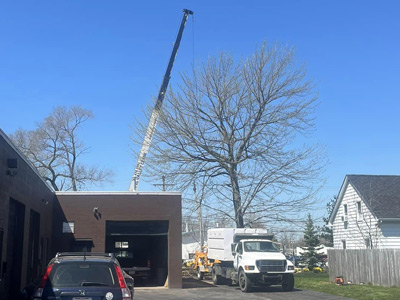 Tree Removal, Lakewood, OH