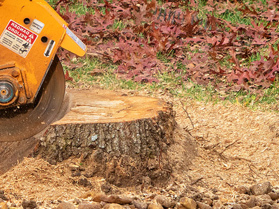 Stump Grinding, Mentor, OH