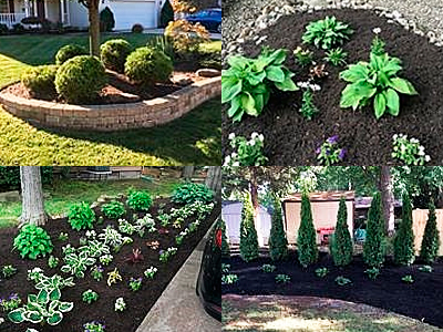 Planting Services, Mentor, OH